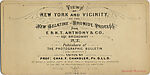 [16 Stereographic Views of Gapstow Bridge, Central Park, New York], Various, American, Albumen silver prints