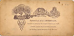 [16 Stereographic Views of Gapstow Bridge, Central Park, New York], Various, American, Albumen silver prints