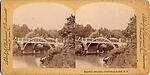[16 Stereographic Views of Gapstow Bridge, Central Park, New York], Various, American, Albumen silver prints