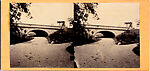 [14 Stereographic Views of Glade, Central Park, New York], Various, American, Albumen silver prints