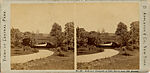 [14 Stereographic Views of Glade, Central Park, New York], Various, American, Albumen silver prints