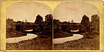 [14 Stereographic Views of Glade, Central Park, New York], Various, American, Albumen silver prints
