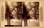 [14 Stereographic Views of Glade, Central Park, New York], Various, American, Albumen silver prints