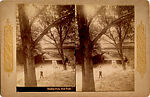 [14 Stereographic Views of Glade, Central Park, New York], Various, American, Albumen silver prints