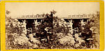 [33 Stereographic Views of Glenspan, also known as Rustic Bridge or Grotto Bridge, Central Park, New York], Various, American, Albumen silver prints