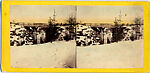 [33 Stereographic Views of Glenspan, also known as Rustic Bridge or Grotto Bridge, Central Park, New York], Various, American, Albumen silver prints