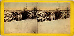 [33 Stereographic Views of Glenspan, also known as Rustic Bridge or Grotto Bridge, Central Park, New York], Various, American, Albumen silver prints
