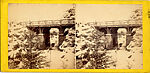 [33 Stereographic Views of Glenspan, also known as Rustic Bridge or Grotto Bridge, Central Park, New York], Various, American, Albumen silver prints