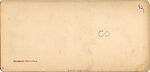 [33 Stereographic Views of Glenspan, also known as Rustic Bridge or Grotto Bridge, Central Park, New York], Various, American, Albumen silver prints