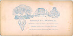 [33 Stereographic Views of Glenspan, also known as Rustic Bridge or Grotto Bridge, Central Park, New York], Various, American, Albumen silver prints