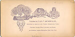 [33 Stereographic Views of Glenspan, also known as Rustic Bridge or Grotto Bridge, Central Park, New York], Various, American, Albumen silver prints