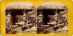 [33 Stereographic Views of Glenspan, also known as Rustic Bridge or Grotto Bridge, Central Park, New York], Various, American, Albumen silver prints