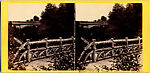 [33 Stereographic Views of Glenspan, also known as Rustic Bridge or Grotto Bridge, Central Park, New York], Various, American, Albumen silver prints