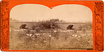 [13 Stereographic Views of Granite Arch, Central Park, New York], Various, American, Albumen silver prints