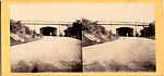 [20 Stereographic Views of Green Gap, Central Park, New York], Various, American, Albumen silver prints