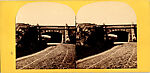 [20 Stereographic Views of Green Gap, Central Park, New York], Various, American, Albumen silver prints