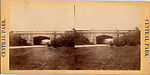 [20 Stereographic Views of Green Gap, Central Park, New York], Various, American, Albumen silver prints