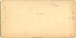 [20 Stereographic Views of Green Gap, Central Park, New York], Various, American, Albumen silver prints