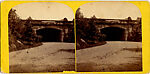 [20 Stereographic Views of Green Gap, Central Park, New York], Various, American, Albumen silver prints