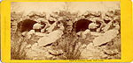[26 Stereographic Views of Huddlestone, Central Park, New York], Various, American, Albumen silver prints