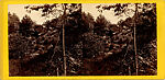 [26 Stereographic Views of Huddlestone, Central Park, New York], Various, American, Albumen silver prints