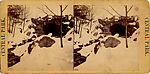 [26 Stereographic Views of Huddlestone, Central Park, New York], Various, American, Albumen silver prints