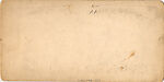 [26 Stereographic Views of Huddlestone, Central Park, New York], Various, American, Albumen silver prints