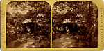 [26 Stereographic Views of Huddlestone, Central Park, New York], Various, American, Albumen silver prints