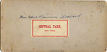 [26 Stereographic Views of Huddlestone, Central Park, New York], Various, American, Albumen silver prints