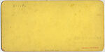 [21 Stereographic Views of Iron Bridge, Central Park, New York], Various, American, Albumen silver prints