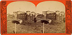 [21 Stereographic Views of Iron Bridge, Central Park, New York], Various, American, Albumen silver prints