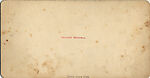 [21 Stereographic Views of Iron Bridge, Central Park, New York], Various, American, Albumen silver prints