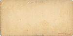 [21 Stereographic Views of Iron Bridge, Central Park, New York], Various, American, Albumen silver prints