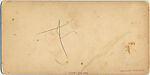 [21 Stereographic Views of Iron Bridge, Central Park, New York], Various, American, Albumen silver prints