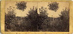[21 Stereographic Views of Iron Bridge, Central Park, New York], Various, American, Albumen silver prints
