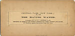 [29 Stereographic Views of Locust Bridge, Central Park, New York], Various, American, Albumen silver prints