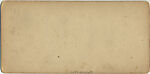 [29 Stereographic Views of Locust Bridge, Central Park, New York], Various, American, Albumen silver prints