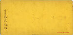 [29 Stereographic Views of Locust Bridge, Central Park, New York], Various, American, Albumen silver prints