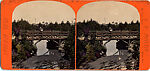 [29 Stereographic Views of Locust Bridge, Central Park, New York], Various, American, Albumen silver prints