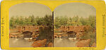 [29 Stereographic Views of Locust Bridge, Central Park, New York], Various, American, Albumen silver prints