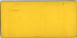 [29 Stereographic Views of Locust Bridge, Central Park, New York], Various, American, Albumen silver prints