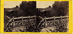 [29 Stereographic Views of Locust Bridge, Central Park, New York], Various, American, Albumen silver prints