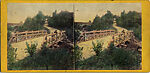 [29 Stereographic Views of Locust Bridge, Central Park, New York], Various, American, Albumen silver prints