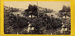 [29 Stereographic Views of Locust Bridge, Central Park, New York], Various, American, Albumen silver prints