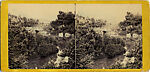 [29 Stereographic Views of Locust Bridge, Central Park, New York], Various, American, Albumen silver prints