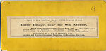 [29 Stereographic Views of Locust Bridge, Central Park, New York], Various, American, Albumen silver prints