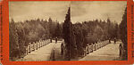 [60 Stereographic Views of Oak Bridge, Central Park, New York], Various, American, Albumen silver prints