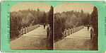 [60 Stereographic Views of Oak Bridge, Central Park, New York], Various, American, Albumen silver prints
