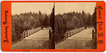 [60 Stereographic Views of Oak Bridge, Central Park, New York], Various, American, Albumen silver prints