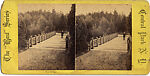 [60 Stereographic Views of Oak Bridge, Central Park, New York], Various, American, Albumen silver prints